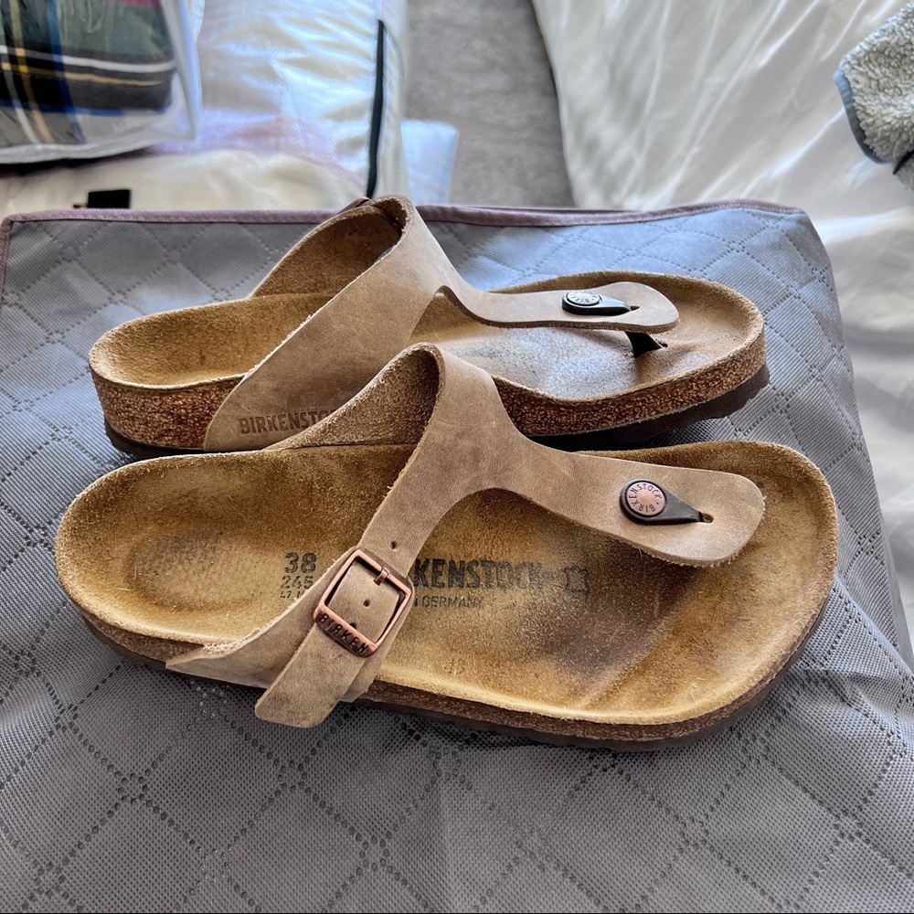 Womens Gizeh in Tobacco Oiled Leather